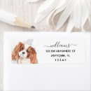 Search for cavalier king charles spaniel return address labels Pet