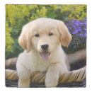Search for photo duvet covers Dog