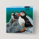 Search for cruise ship buttons Alaska