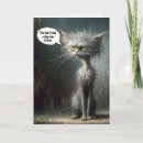 Search for homeless cards Cat