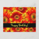 Search for happy birthday daisy flower postcards Daisies