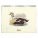 Search for duck calendars Birds