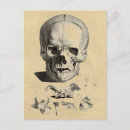 Search for skull birthday cards Vintage