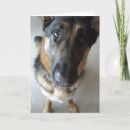 Search for german shepherd birthday cards Funny