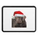 Search for labrador retriever trailer hitch covers Pug