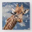 Search for black and white giraffe art Mammal