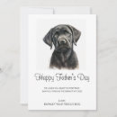 Search for pet holiday cards Cute
