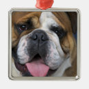 Search for belgium ornaments Belgian