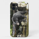 Search for bear iphone cases Wildlife
