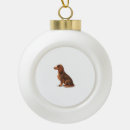 Search for long haired dachshund ornaments Animal