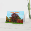 Search for oak tree cards Autumn