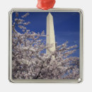Search for washington dc ornaments Usa