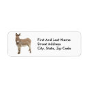Search for donkey return address labels Funny