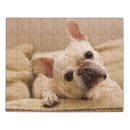 Search for french bulldog puzzles Pet
