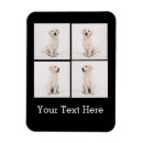Search for instagram magnets Photography