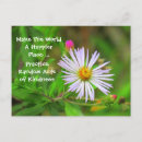Search for random postcards Quote