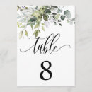 Search for eucalyptus table cards Modern