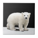 Search for wildlife tiles Cub