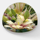 Search for dome paperweights Birthday