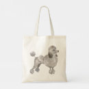 Search for poodle bags Illustration
