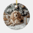Search for cocker spaniel dog ornaments Buff