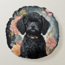 Search for poodle pillows Puppy