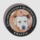 Search for in loving memory memorial bumper stickers Dog