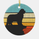 Search for newfoundland dog ornaments Puppy