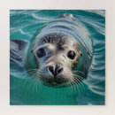 Search for seal puzzles Cute