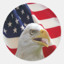 Search for bald eagle stickers United