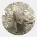 Search for cricket stickers Nature