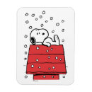 Search for snoopy magnets Doghouse