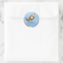 Search for sea otter Birthday