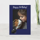 Search for pig cards Guinea pigs