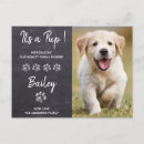 Search for welcome to the family invitations Adoption