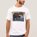 Search for feed the bears tshirts Animal