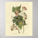 Search for yellow posters Illustration