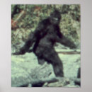 Search for sasquatch posters Bigfoot