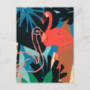 Search for flamingo postcards Birds