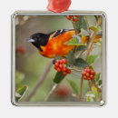 Search for baltimore ornaments Usa