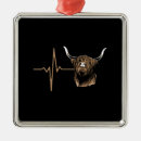 Search for scottish highland cow ornaments Cattle