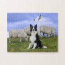 Search for border collie puzzles Dogs