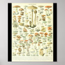 Search for adolphe millot posters Science