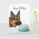 Search for german birthday cards German shepherd dog