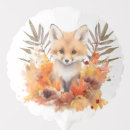 Search for owl balloons Fox