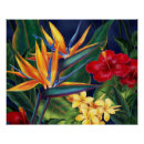 Search for hawaiian posters Floral