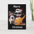Search for rock and roll christmas cards Penguin