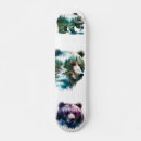 Search for bear skateboards Illustration