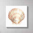 Search for seashells sea shells canvas prints Ocean