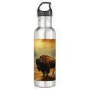Search for national park water bottles Wyoming